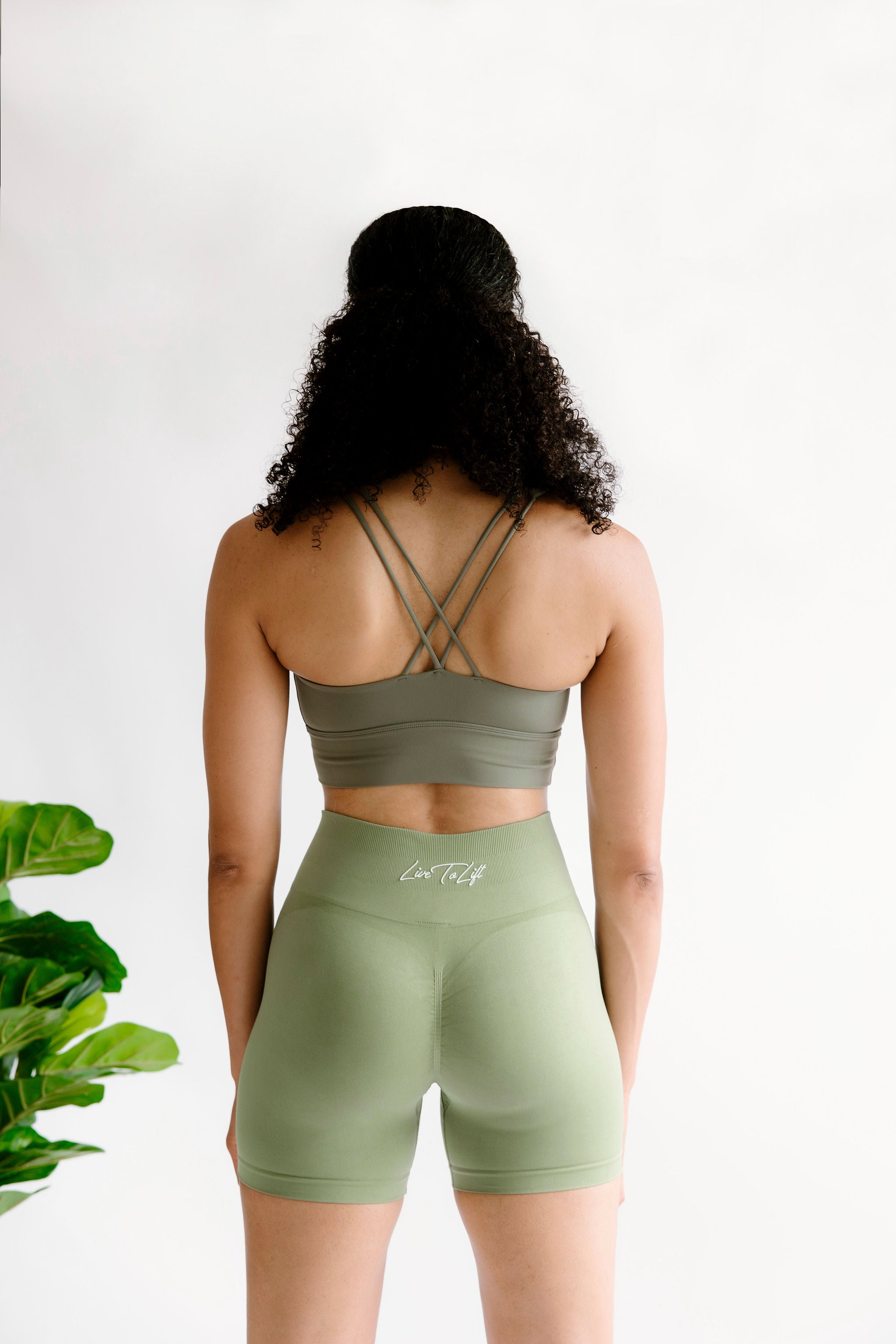 Energize Sports Bra • Khaki Green